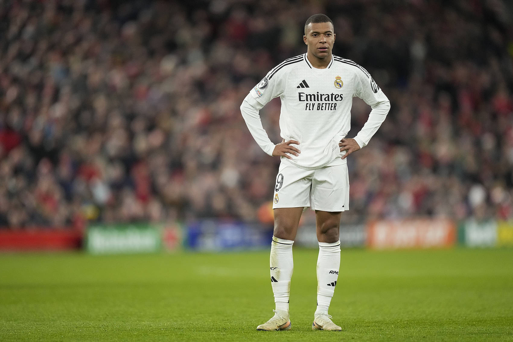 方向相反，气质相同：科内特是小白交易最好的回赠